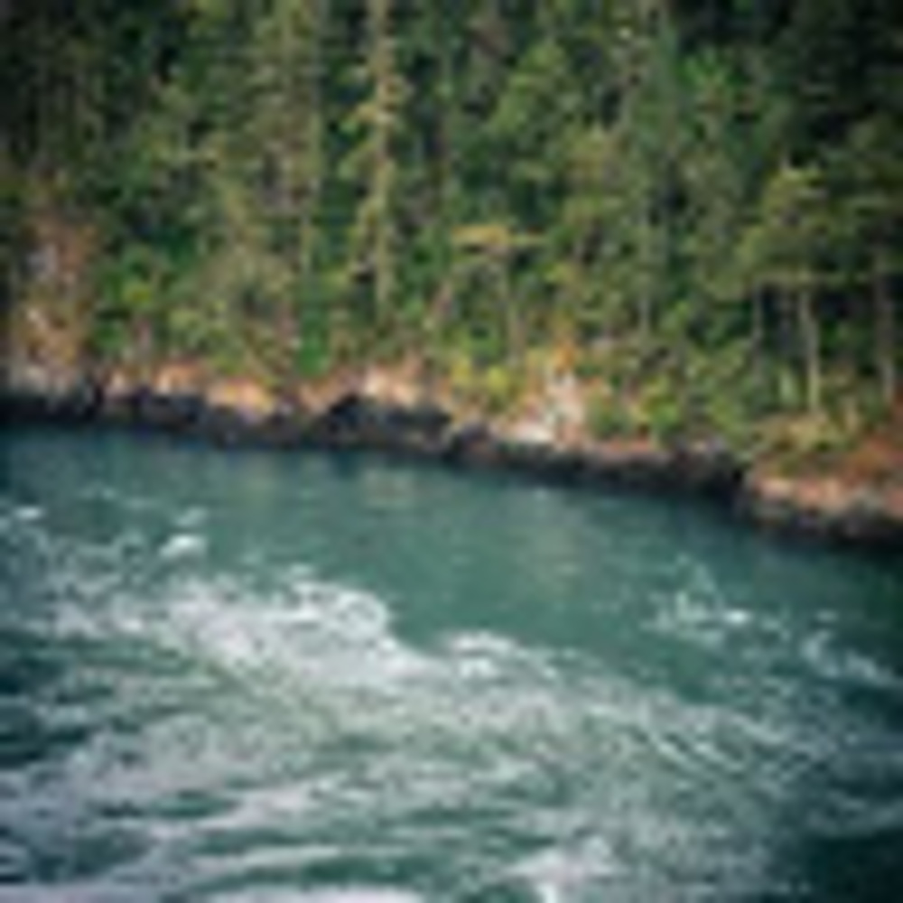 Meet your Posher, Cece